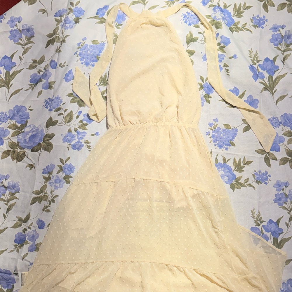 Elegant Cream High Low Dress - Picture 5 of 5